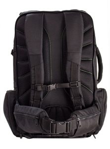 Tortuga Backpack Back